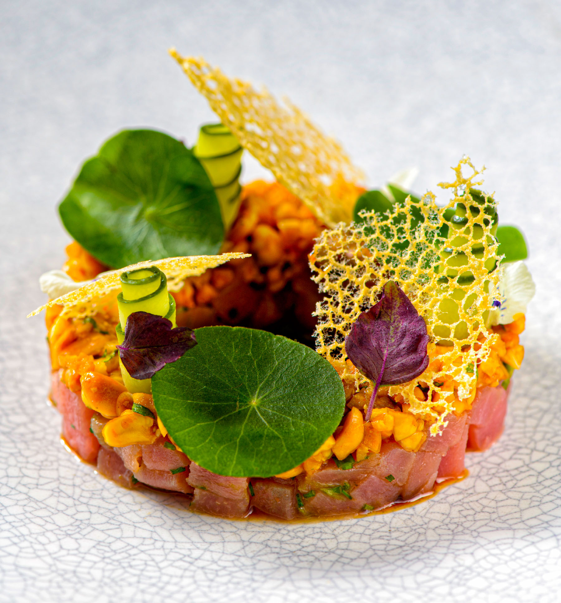 A plate of tuna tartare elegantly presented, featuring finely diced tuna, garnished with fresh herbs.