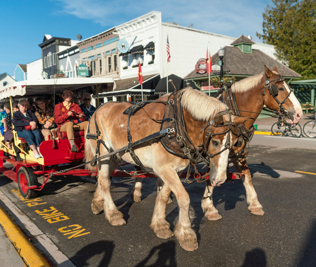 A picture of Clydesdale horses hitched to a red carriage, standing proudly with their harnesses.