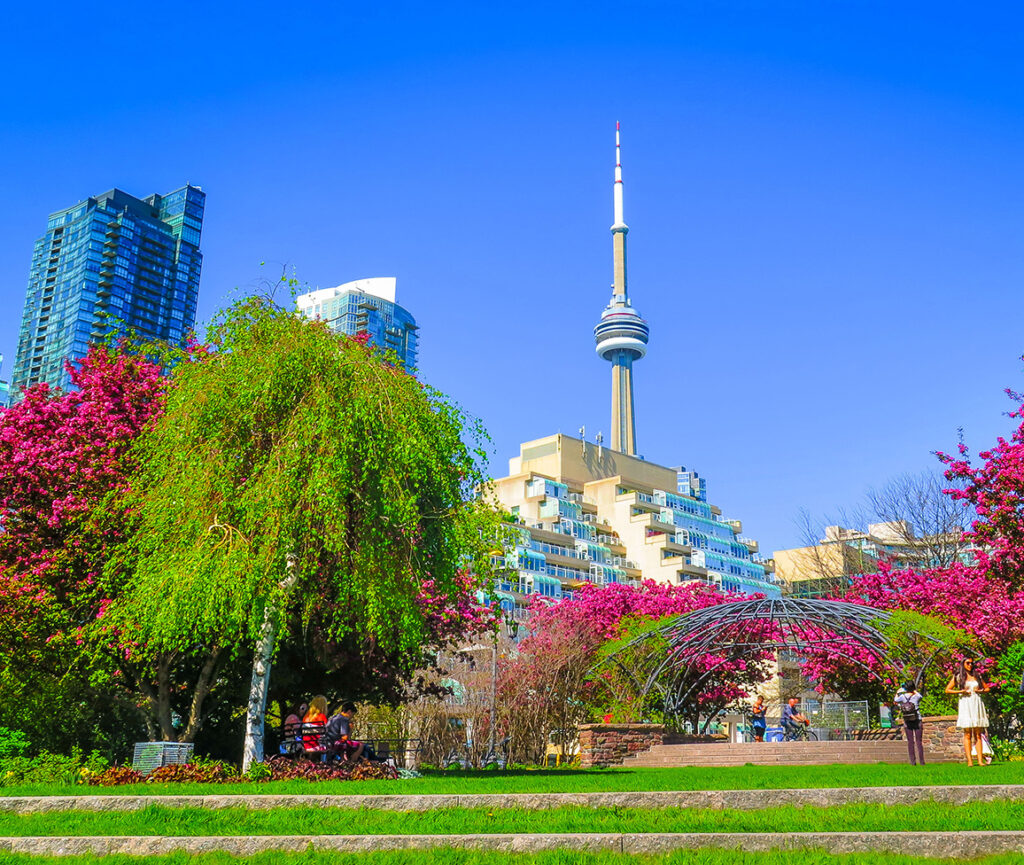 A serene view of the Toronto Music Garden, featuring beautifully landscaped gardens against the backdrop of the city.